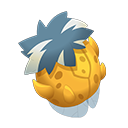 description images