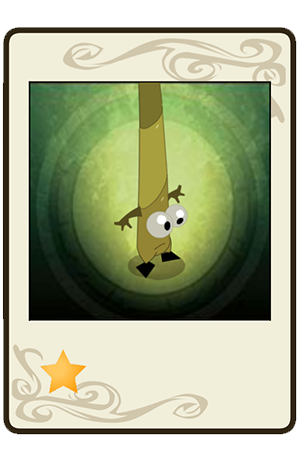 description images