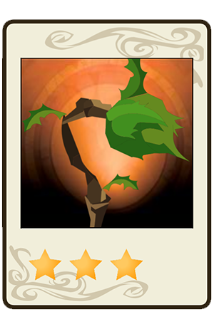 description images