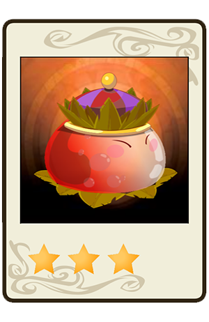 description images
