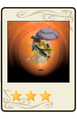 description images