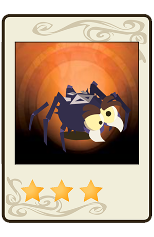 description images