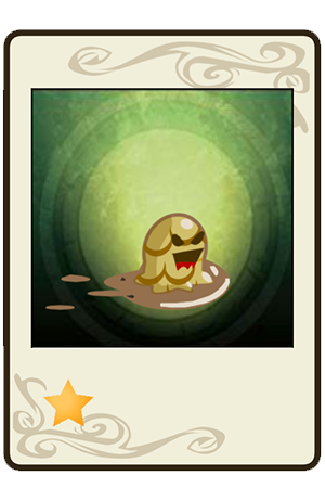 description images