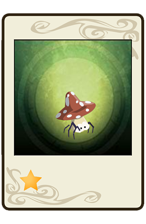 description images