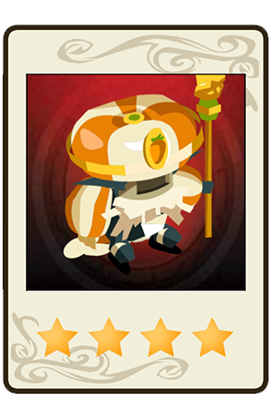 description images