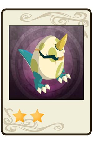 description images