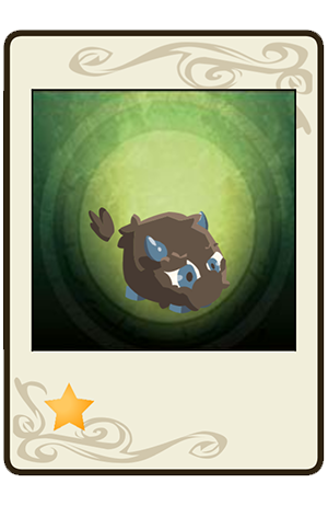 description images