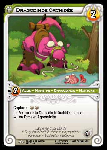 Dragodinde Orchidée