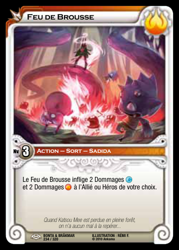 Feu de Brousse
