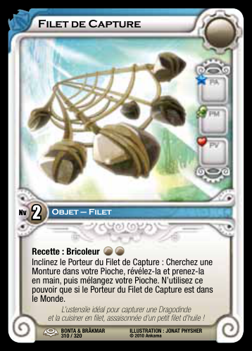 Filet de Capture