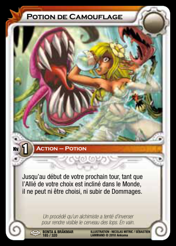 Potion de Camouflage