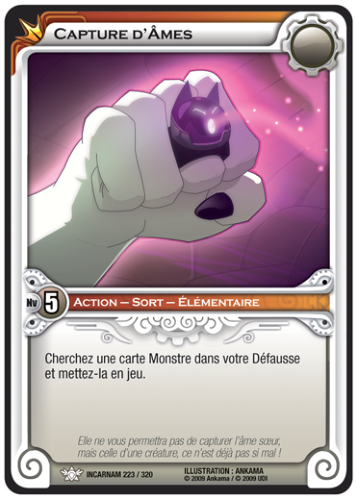 Capture d'Âmes