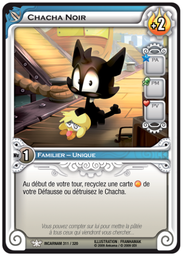 Chacha Noir