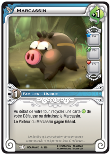 Marcassin
