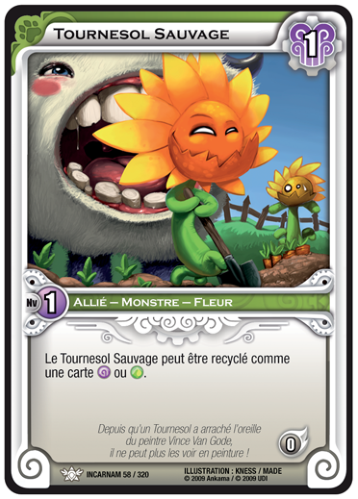 Tournesol Sauvage