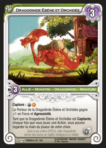 Dragodinde Ébène et Orchidée
