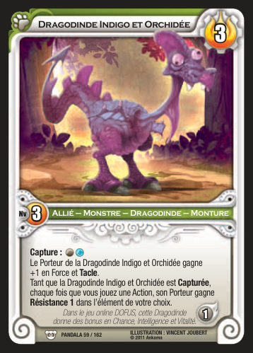 Dragodinde Indigo et Orchidée